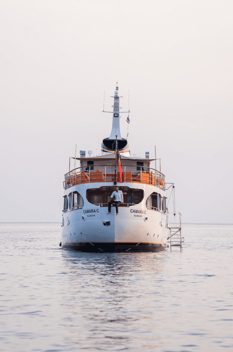 Cruise Vesssel - Image 4