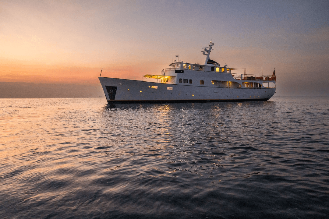 Cruise Vesssel - Image 2