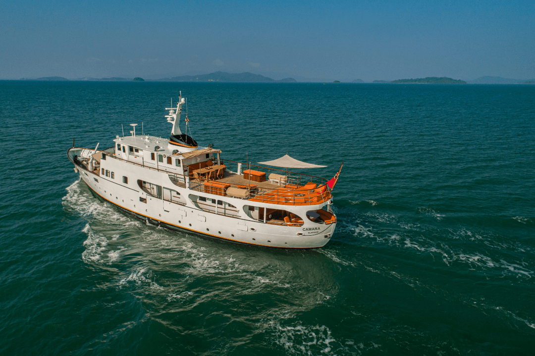 Cruise Vesssel - Cover