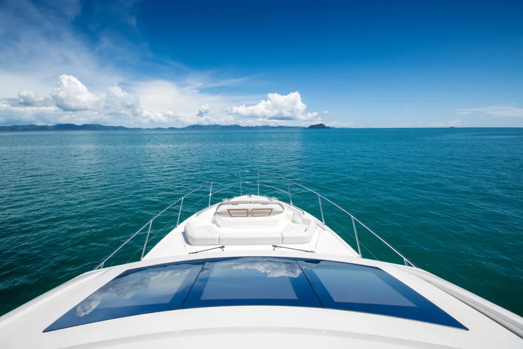 Princess S65 - Image 3
