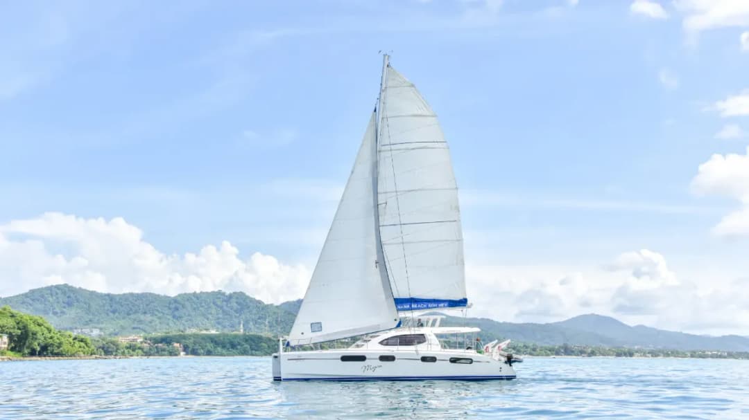 LEOPARD 47 - Image 2