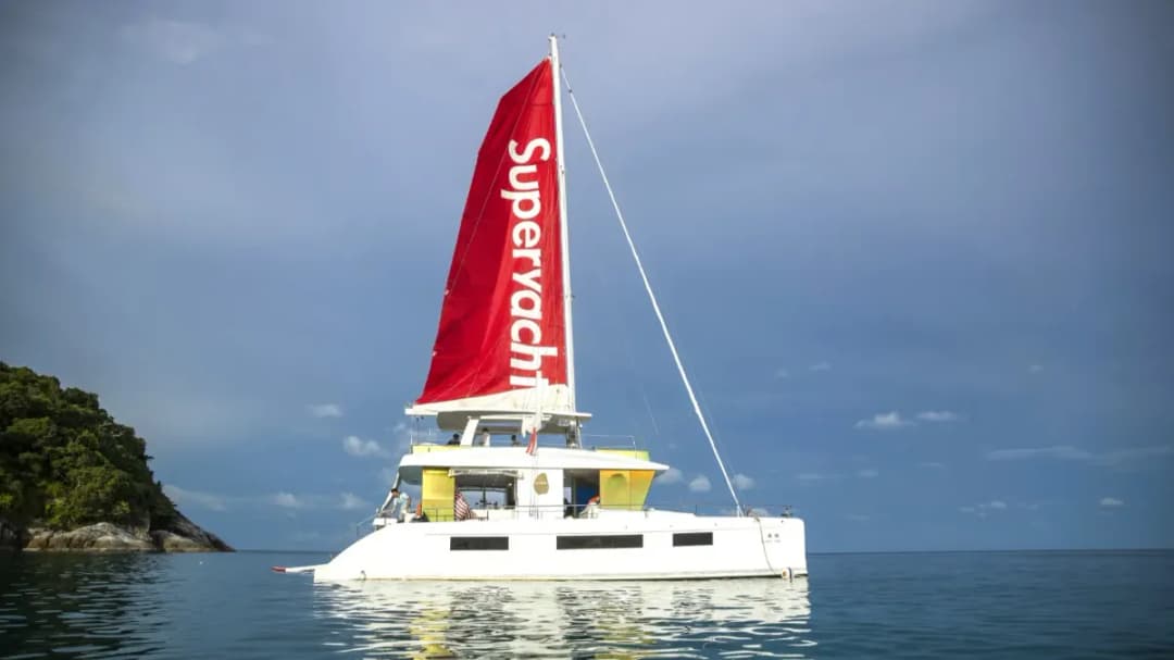 Sailing Cat - Image 2