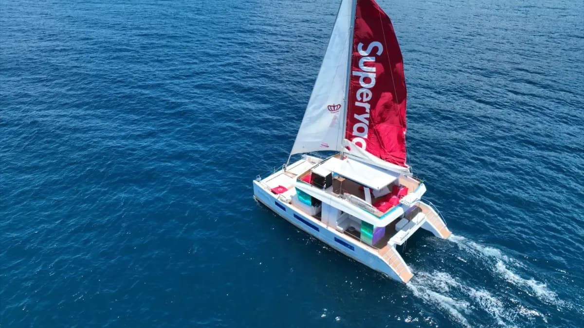 Sailing Cat - Image 7