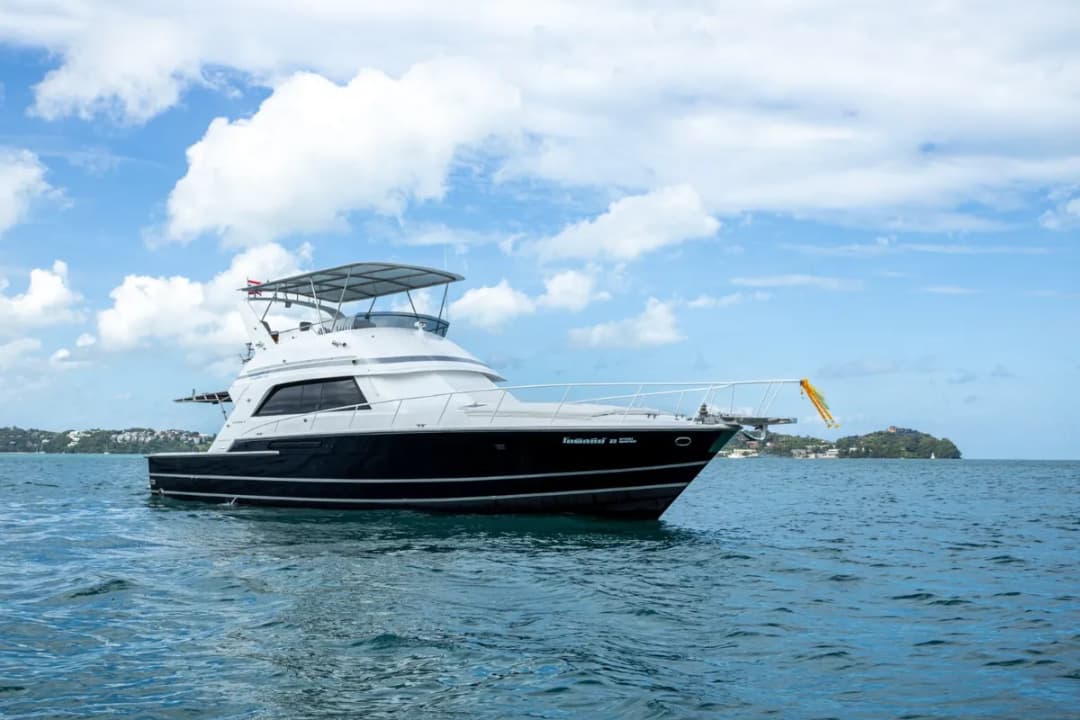 Bertram 50ft - Cover