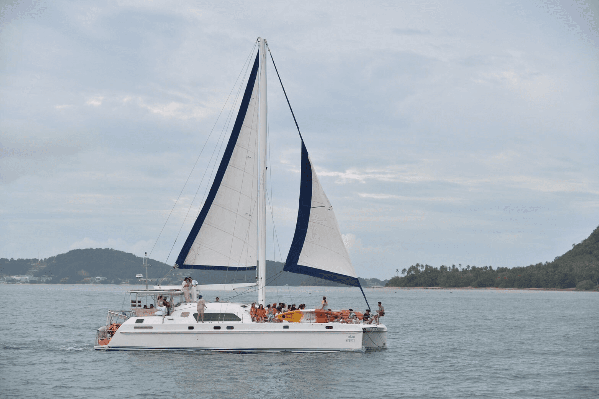 IMP 55 - Image 8