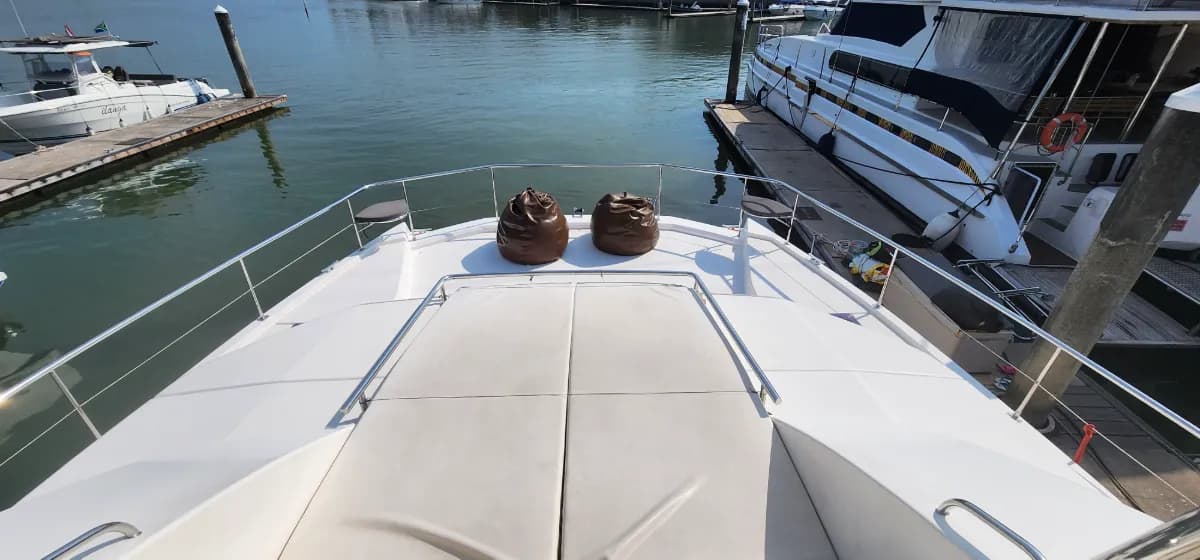Leopard 43 FT - Image 9