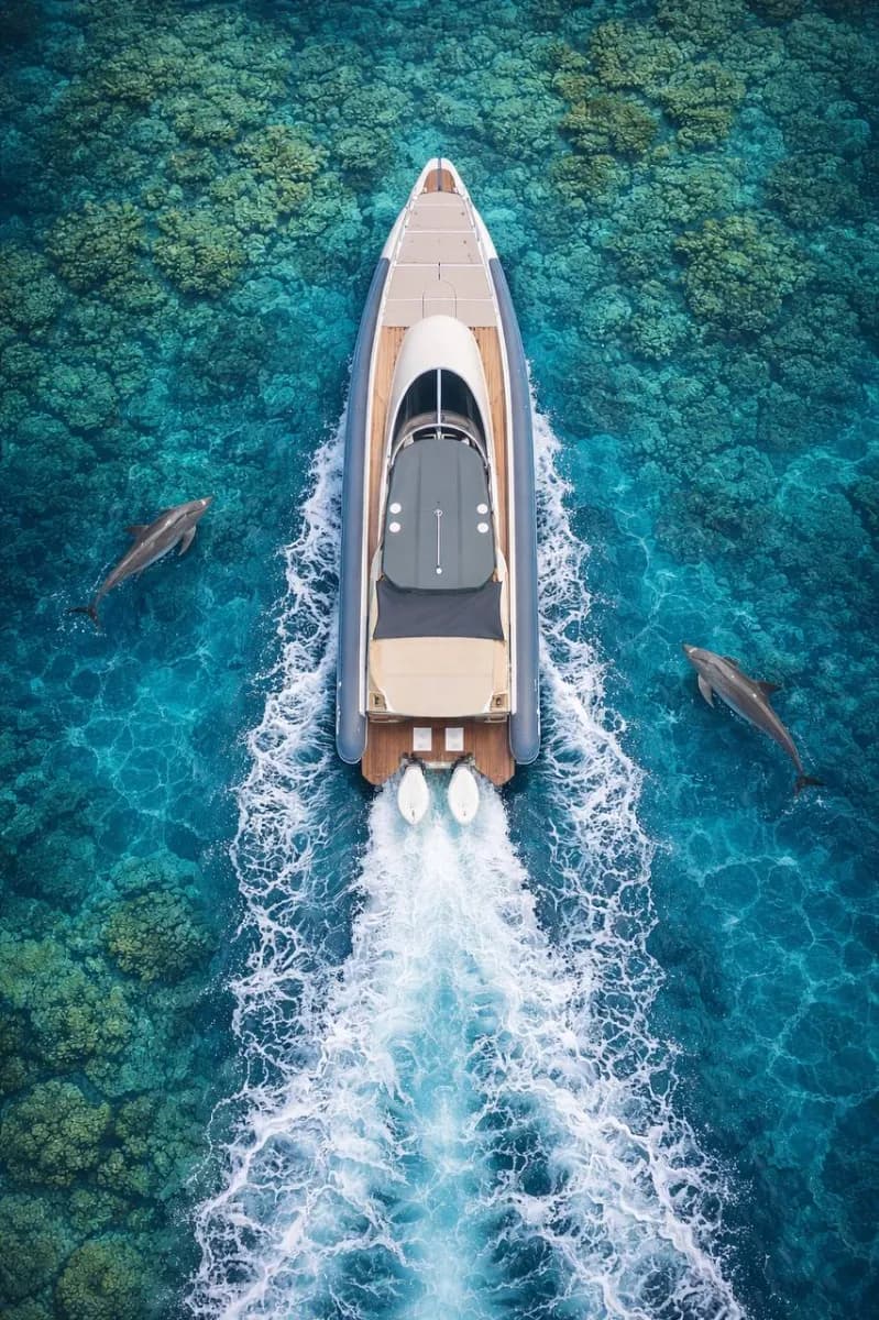 Luxury SpeedBoat 38ft - Cover