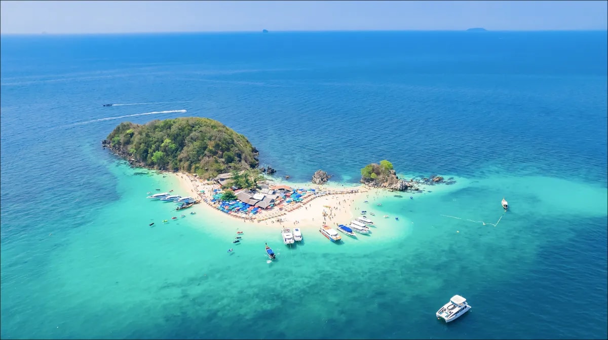 פי פי - חייסנד