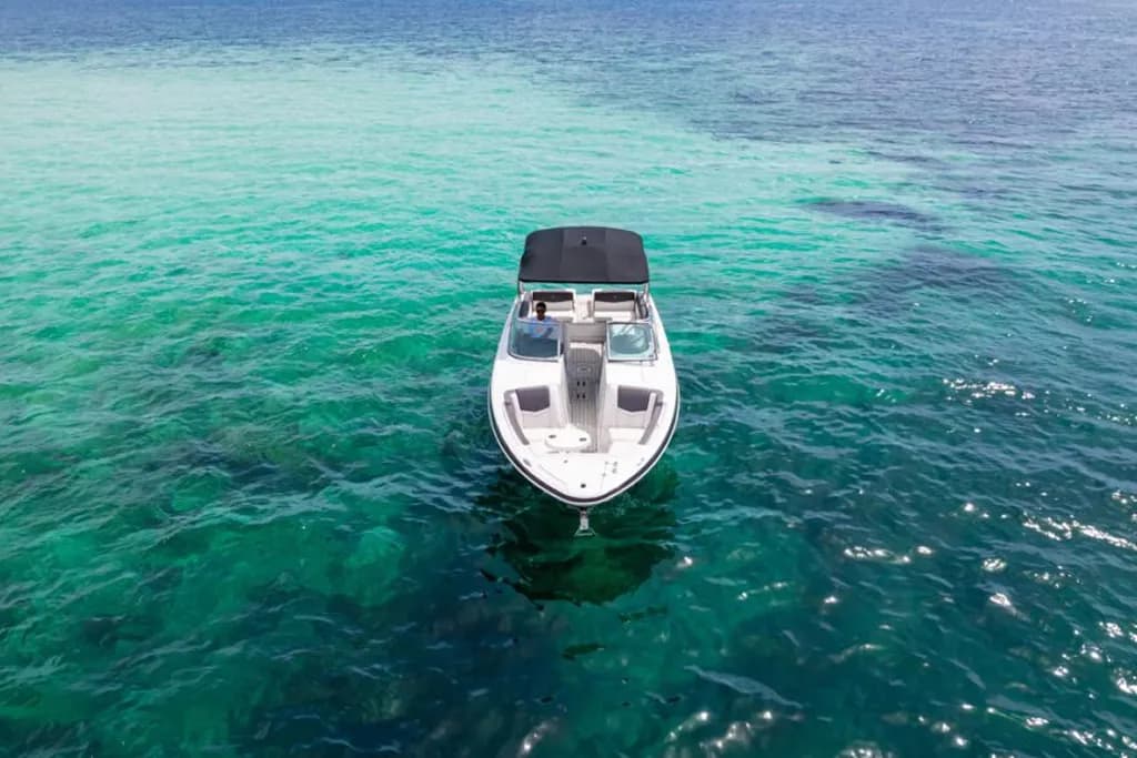 Fun-filled boat